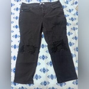 ARULA Black Capri Women Jeans